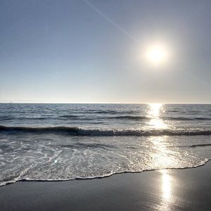 Meet your Posher, Sasha.